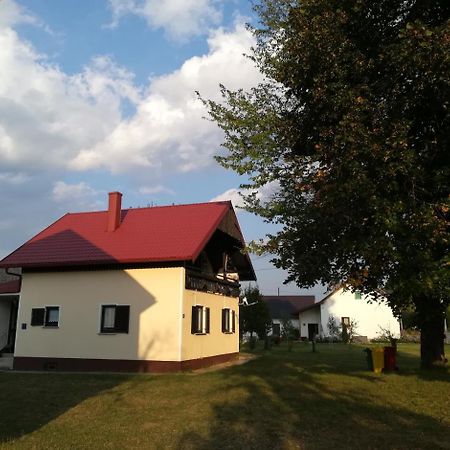 Villa Natali Donji Babin Potok Esterno foto