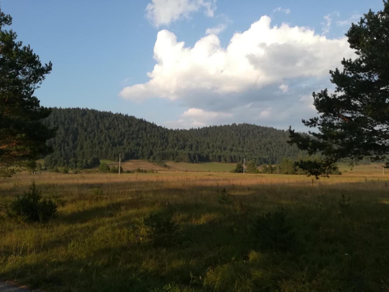 Villa Natali Donji Babin Potok Esterno foto