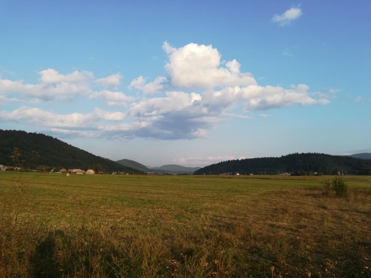 Villa Natali Donji Babin Potok Esterno foto