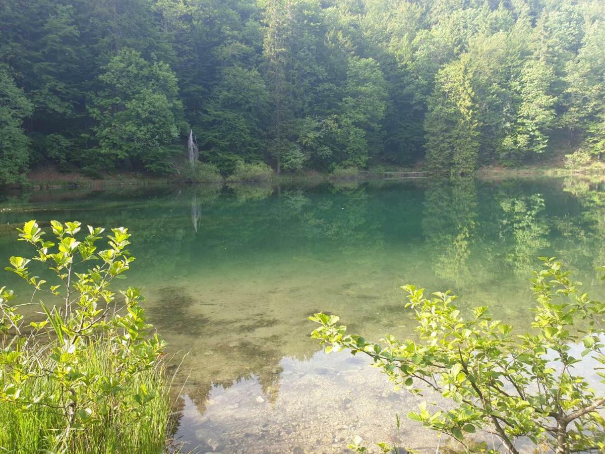 Villa Natali Donji Babin Potok Esterno foto