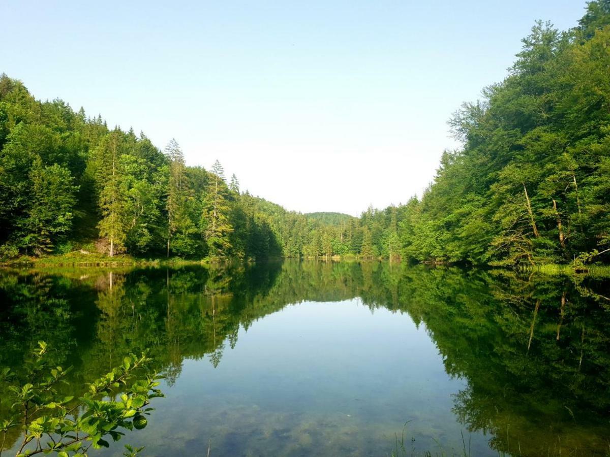 Villa Natali Donji Babin Potok Esterno foto