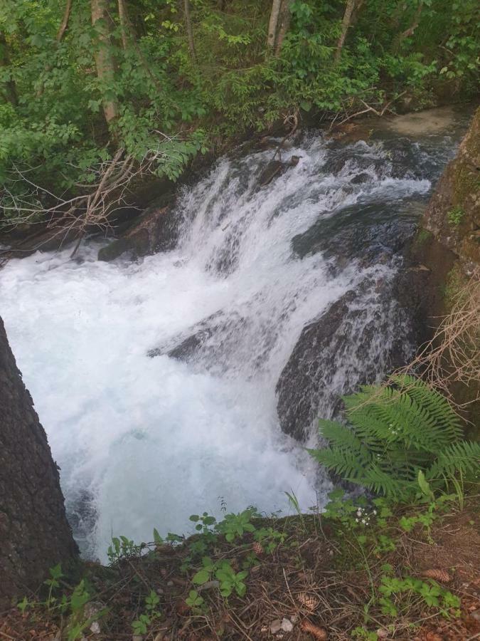 Villa Natali Donji Babin Potok Esterno foto